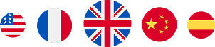 PicoLabs AI Chatbot multilingual conversations